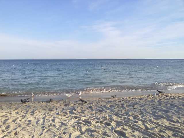 На Одещині в морі потонув хлопчик: тіло школяра шукають рятувальники