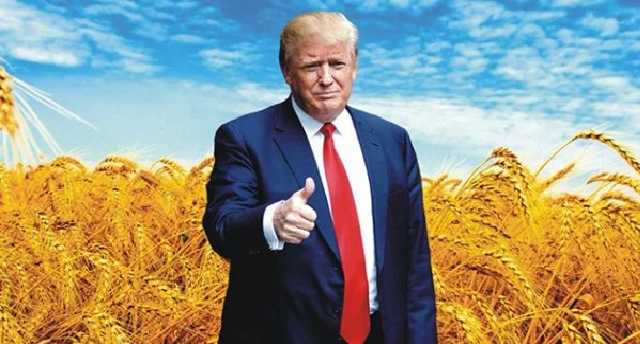 У Украины с Трампом есть большая проблема, - немецкий журналист