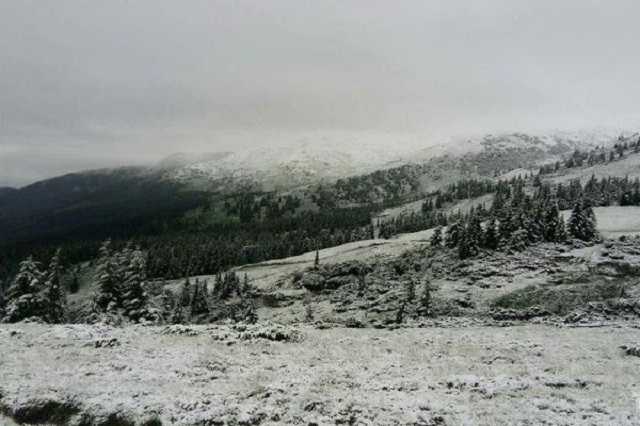 Карпаты завалило снегом: началась экстренная эвакуация