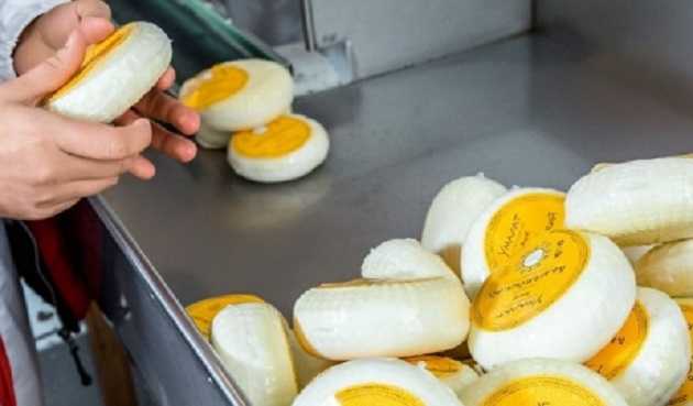 В Харькове мошенник инсценировал похищение «Моцареллы» на полмиллиона гривен