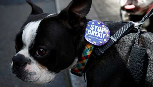 В Лондоне десятки тысяч человек вышли на протест против "Брексита"