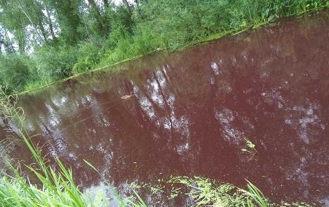 В Броварах появилось «кровавое» озеро