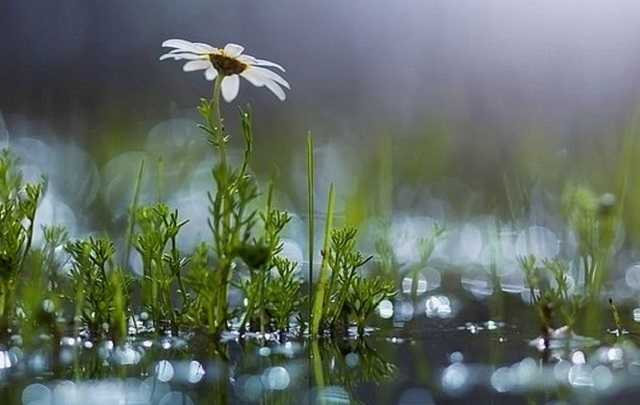 До +2: синоптики уточнили прогноз по похолоданию в Украине