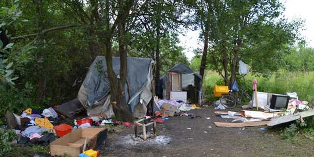 Amnesty International        