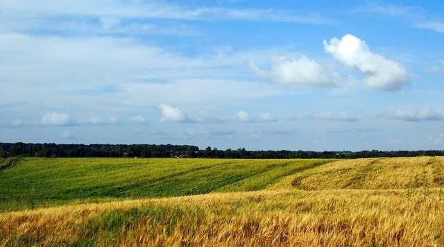 Оренда землі подорожчала на 20%