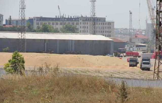 В Крыму гниют 3000 тонн пшеницы для Сирии: соцсети высмеяли оккупантов