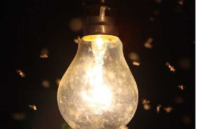 В Украине из-за непогоды обесточено 66 населенных пунктов