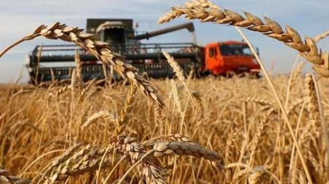 Государственная зерновая корпорация недосчиталась 23 миллиардов доходов