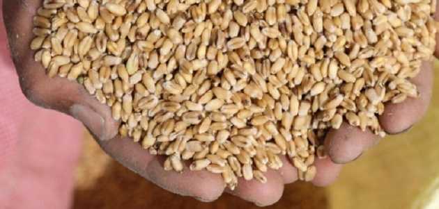 Рада упростила налогообложение для семейных фермерских хозяйств