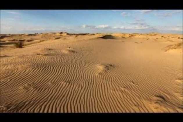 В Херсонской области зафиксирована рекордная жара - 68 °С на грунте