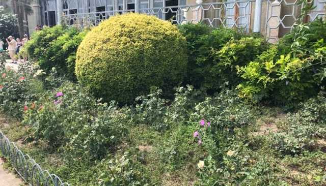 Появились печальные фото известного дворца в Крыму