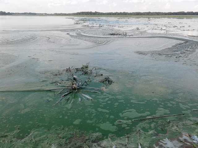 "Это Армагеддон!" В Украине забили тревогу из-за проблемы с Днепром