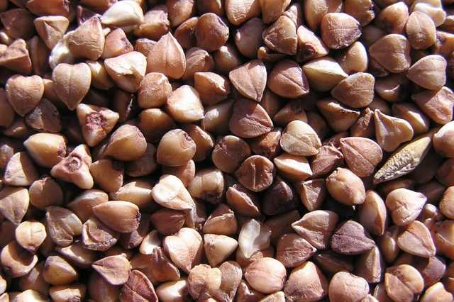 В Украине снова начала расти цена на гречневую крупу