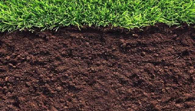 Сам заработал: суд вернул отцу Арбузова дом и участки