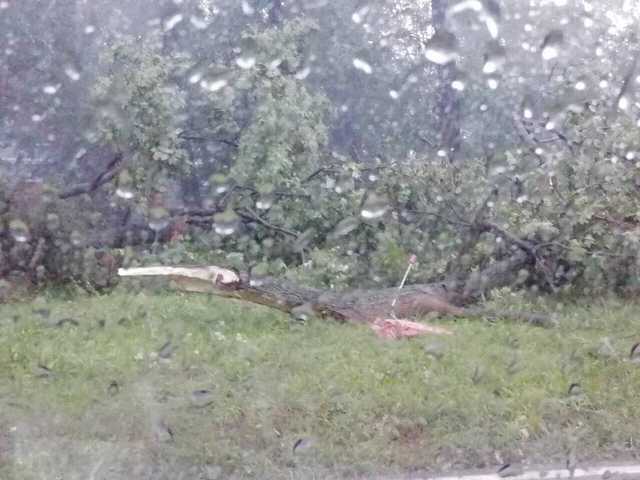 Киев «смыло» дождем: под водой оказались улицы и автомобили