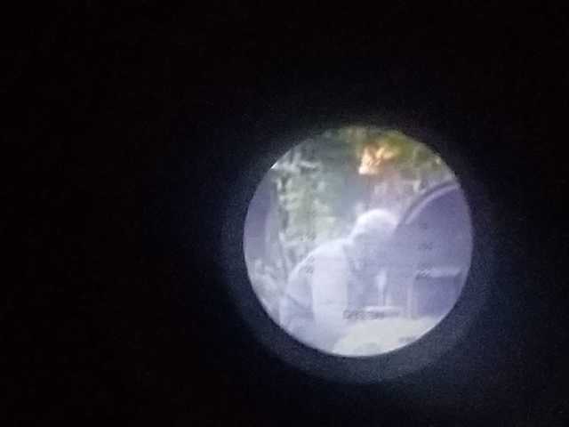 В ВСУ показали нелепую смерть российских наемников на Донбассе