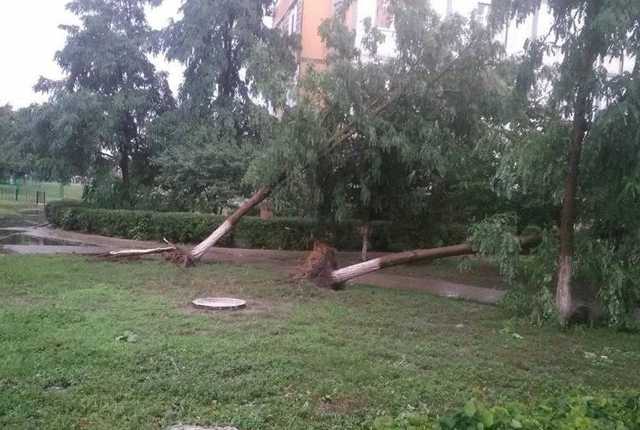 В Хмельницком бушевал мощный ураган: повалены деревья и затоплены улицы