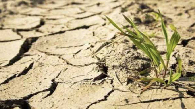 Крым засыхает: в Украине заявили о критической ситуации
