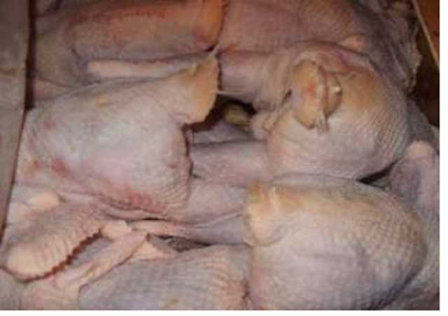 Отравление шаурмой в Киеве: стало известно, откуда привезли зараженную курятину