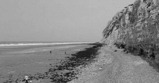 В Черном море назревает катастрофа: ученые рассказали, что произойдет