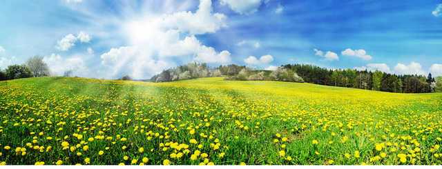 "Еще куча лета!" Синоптик дала знойный прогноз на начало недели в Украине