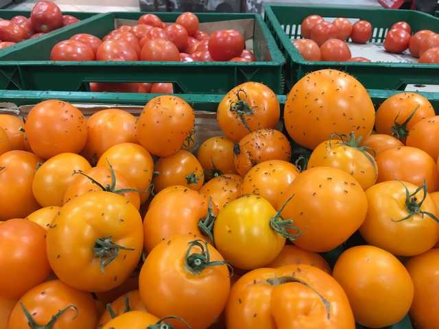 Помидоры "с мясом": известный супермаркет в Киеве попал в скандал