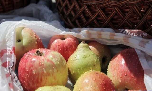 Порошенко и Гройсман поздравили украинцев с Яблочным Спасом