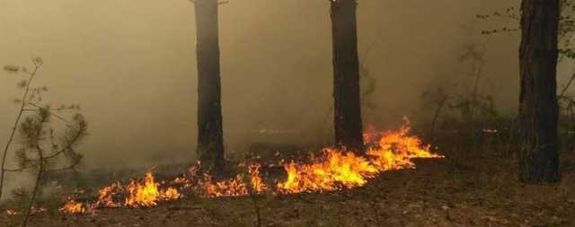В Украине удерживается высокий уровень пожарной опасности