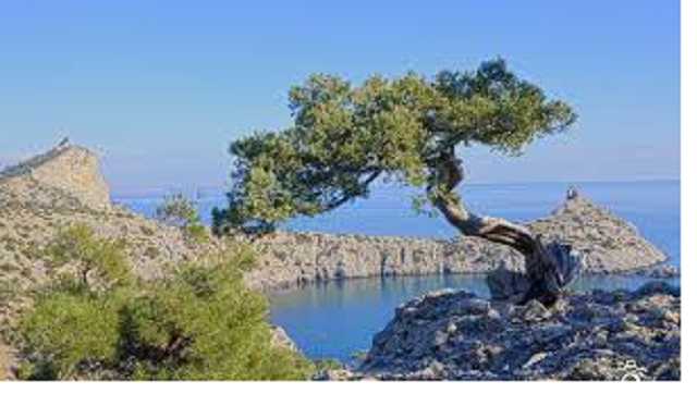 "Еб*ште и не нойте": жители Крыма осознали, во что вляпались с Россией