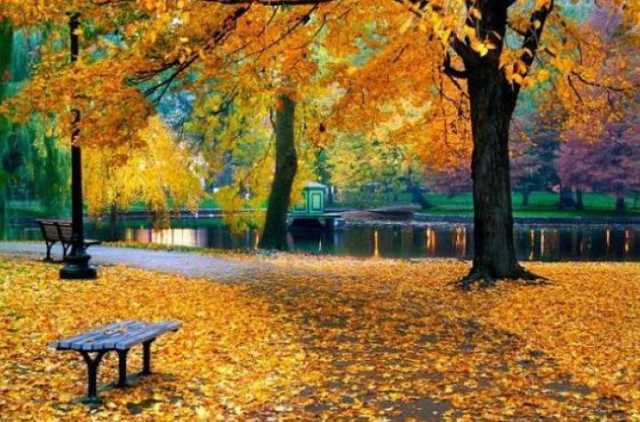 Сентябрь удивит погодой: появился прогноз от синоптиков