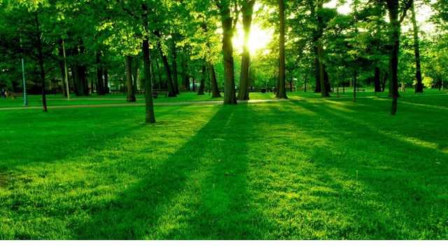 Лето прощается с Украиной: прогноз погоды на ближайшие дни