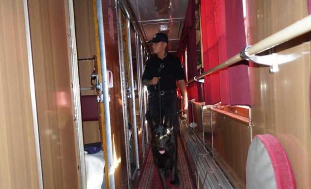 На Луганщине в поездах ищут оружие и боеприпасы: превентивные меры