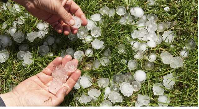 "Размером в 50 копеек": появилось видео аномальной бури в Яремче