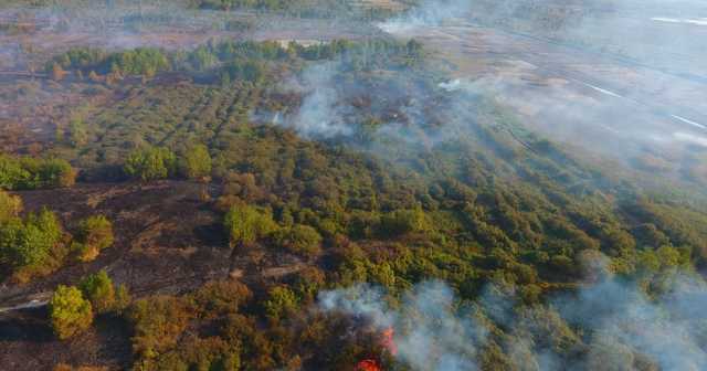 В Полтавской области горят торфяники