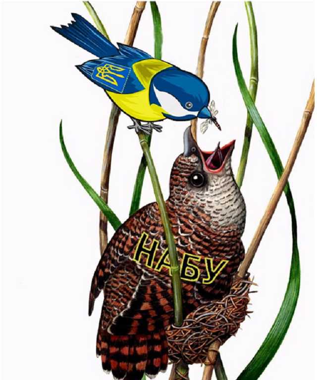 Украинские антикоррупционные органы, как зеркало украинский ментальности