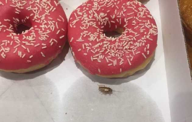 В Киеве в супермаркете Fozzy на выпечке ползают тараканы