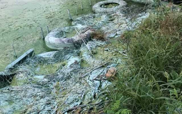 "Фантастический" вид дурнопахнущего Днепра (фото)