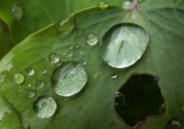 На Херсонщине ширится паника из-за слухов о кислотном дожде