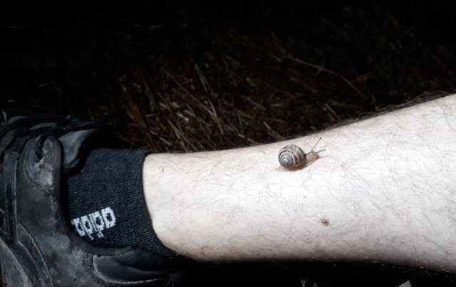 На Днепропетровщине похитителя кабеля убило током