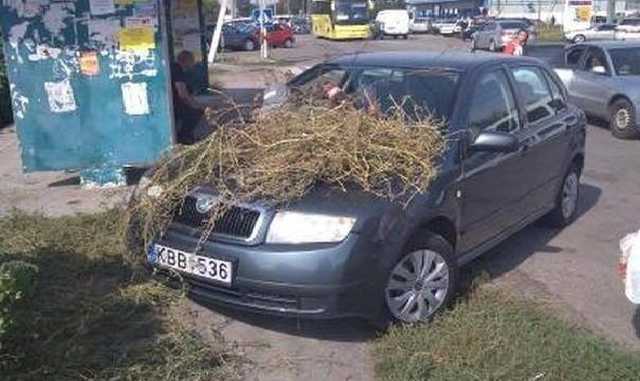 В Киеве оригинально наказали «героя парковки»