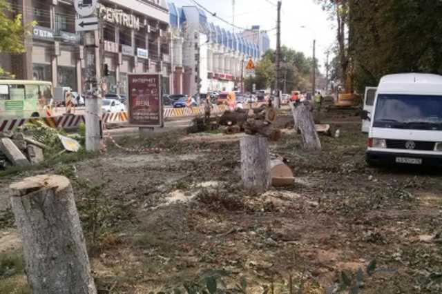 ’’После них - хоть потоп’’: оккупанты возмутили сеть ’’лесоповалом’’ в Крыму