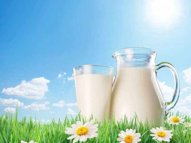 В Украине сокращается производство молока – Госстат