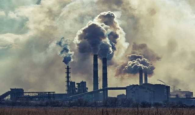 Маленькие мариупольцы попросили Порошенко, Семерака и Ахметова не травить их