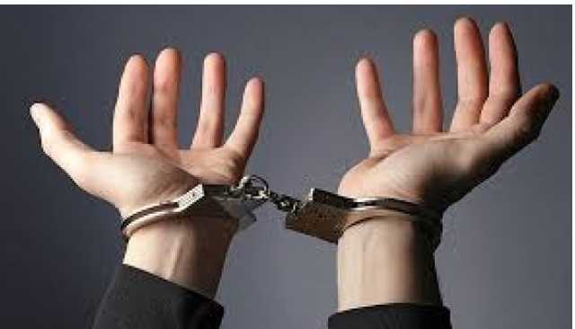 Одесские пограничники задержали троих контрабандистов на телеге