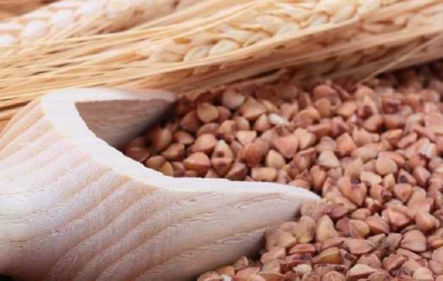 Между русской гречкой и отечественной взяткой, или Как чиновники потрошат Украину