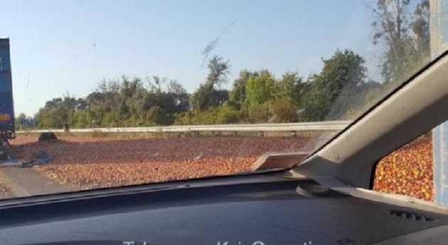 На трасі Київ-Харків перекинулася фура, засипавши дорогу фруктами