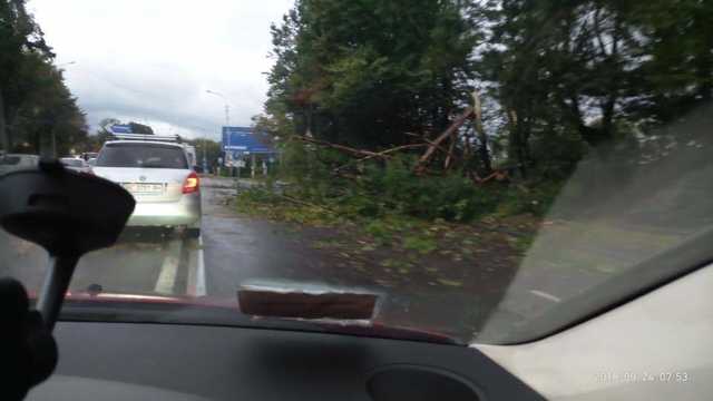 Рвала и метала: запад Украины накрыла разрушительная стихия. Фото и видео последствий