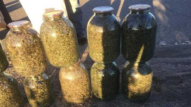 Под Киевом задержали поставщика консервированной элитной марихуаны