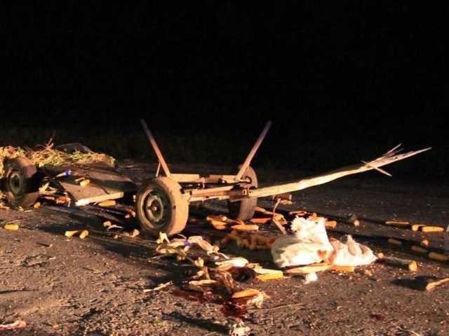 На Буковине легковушка на «евробляхах» врезалась в повозку: погиб конь, есть пострадавшие