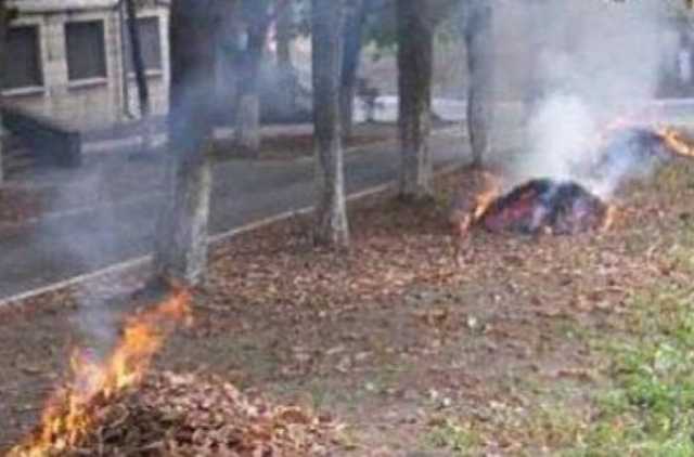 Какой штраф будут платить украинцы, сжигающие сухие листья